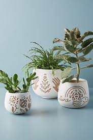 Create a free account today and start downloading live streams and videos from all of your favorite sites. 640 Pottery Ideas In 2021 Pottery Ceramics Ceramic Pottery