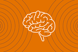 Image result for Brain Lesion