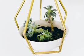 Berikut beberapa jenis tanaman hias yang dapat diaplikasikan dengan mudah dirumah anda. Diy Pot Gantung Untuk Tanaman Hias Pertanianku