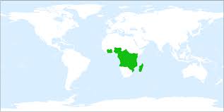 Image result for Mostuea brunonis