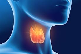 Image result for Thyroiditis