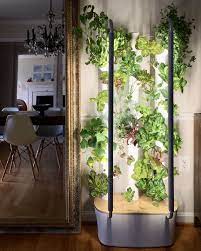 Pin On Modern Garden