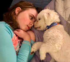 PLEASE HELP!!! My little sisters dog got out off of Stanley Rd! If anyone  sees a white Maltese pleaseeee let me know asap! Her name is Molly! TIA!!!!