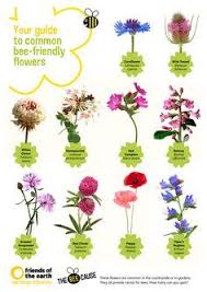 Poster Of Plants Good For Bees And Butterflies Uk Google Search Bee Friendly Flowers Bee Friendly Plants Bee Friendly Garden