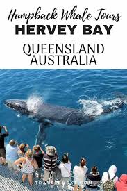 Hrevey Bay Australia Hervey Bay Oceania Travel Australia Tourism