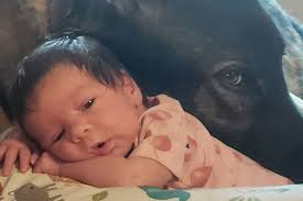 Fundraiser for Jonathan Saia by Janice Willard : Help a First Responder's  Family Through the Unthinkable