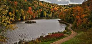 Bird On The Run Pittsburgh Brady S Run Park Lake Beaver County Beaver Falls Favorite Places