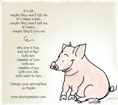 Pin On Vegan Knowledge Ch Vi