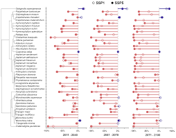 Image result for Loxogramme abyssinica