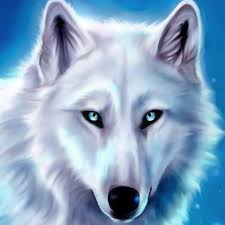 Once common throughout the eastern and south central united states, red wolf populations were decimated by the early 20th century as a result of intensive predator control programs and the degradation and alteration of the species' habitat. Wild Wolf Sim 3d Amazon De Apps Fur Android
