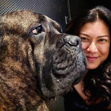 David Dawn Ranji (@ranjidavid) • Instagram photos and videos