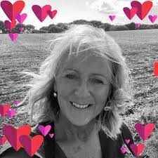 Bird feeder in oak tree 😃