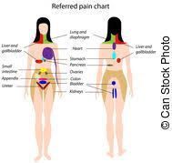 The appendix has vast quantities of special immune cells which help fight infection in the gu and eliminate. Appendix Stock Photos And Images 4 901 Appendix Pictures And Royalty Free Photography Available To Search From Thousands Of Stock Photographers