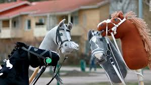 Hobby horse enthusiasts from all over finland gathered in vantaa on saturday for annual championships. Hobbyhorsing Inside The World Of Finland S Latest Revolution Cnn