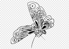Butterfly, butterfly art, pink and multicolored butterfly, brush footed butterfly, cartoon, butterflies png spider web, spider web, angle, white, happy halloween png black rose illustration, garden roses silhouette drawing stencil, rose, leaf, branch, logo png Monarch Butterfly Drawing Black And White Butterfly Draw Brush Footed Butterfly Monochrome Symmetry Png Pngwing