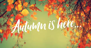 Risultati immagini per autumn