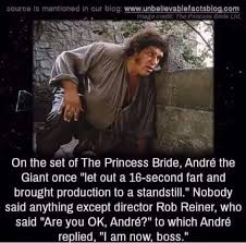 Only Andre Princess Bride Funny Princess Bride Quotes Princess Bride