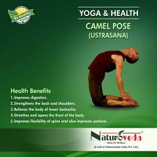 Pin On Yoga And Health