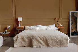 Benjamin Moore Café Au Lait Csp 290 23
