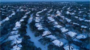 In 2020, texas humane heroes rescued 4. Austin Animal Shelter Without Power Water Amid Winter Storm In Texas