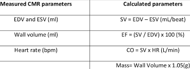 If your heart pumps blood efficiently, this means that you don't have much to worry about in terms although you can pretty easily calculate heart rate, you won't necessarily be able to calculate stroke volume without more sophisticated. Summary Of Measured And Calculated Functional Parameters By Cmr Edv Download Scientific Diagram