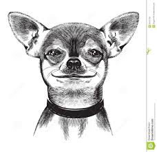 Black And White Collie Dog Clipart Cartoon Chihuahua Dog Clip Art Royalty Free Stock Image Image Dog Tattoos Dog Clip Art Cartoon Clip Art