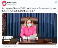 Kyrsten sinema votes no on proposed $15 minimum wage in hilarious fashion, enraging leftists online. Arizona Sen Kyrsten Sinema Turns Heads Again This Time With A Pink Shirt Rose Law Group Reporter