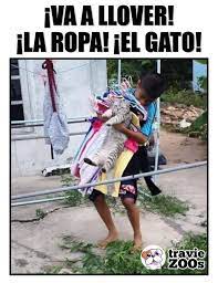En Esta Temporada De Lluvia Hay Que Cuidar A Todos En La Familia Memes De Animales Chistosos Memes Divertidos Meme Gracioso