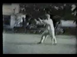 Tung Yingchieh Founder Of Tung Style Taichi Tung Ying Chieh Was A Student Of Yang Chengfu Tai Chi Tai Chi Chuan Chi Kung