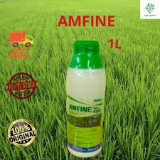 Racun rumput satu ini merupakan merk yang paling terkenal di antara para petani dan pekebun. Buy 1liter Amfine Racun Susu Sama Dengan Amepax Farmspect Ametrex Racun Rumput Sambau Darat Seetracker Malaysia