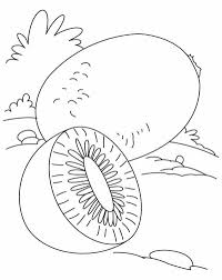 Gambar buah kiwi yang sangat cantik dan enak untuk di pandang. Contoh Gambar Mewarnai Buah Kiwi Kataucap