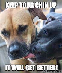 Baxterboo Com Baxterboo Com S Photos Cute Animals With Funny Captions Animal Memes Cute Animal Memes