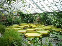 Die botanischen gewächshäuser in potsdam befinden sich in der maulbeerallee 2, nördlich der parkanlage von sanssouci. Bilder Botanischer Garten Potsdam Reisetipps