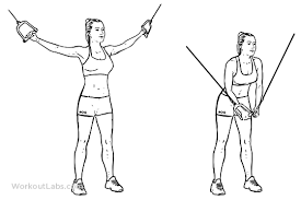 Standing Cable Crossover Fly Illustrated Exercise Guide