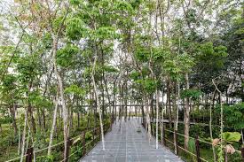 The venue is 3.8 km from grinstead park ans is located in lush gardens. Gallery Of Red Hill Gallery Moa Architects Formzero 26