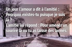 Une Jour L Amour A Dit A L Amitie Pourquoi Existes Tu Puisque Je Suis La L Amitie Lui Repond Pour Amener Un Citation Bonne Annee Phrase Amour Citation