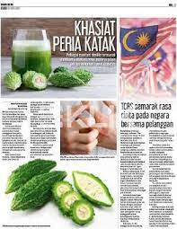 Wanita yang sedang hamil ada penyakit kencing manis dan. Khasiat Peria Katak Klik