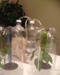 My Co2 Generator Glass Vase Vase Glass