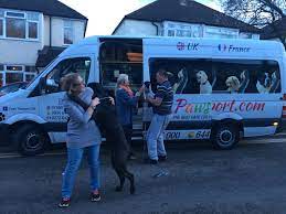 Reliable, safe, and luxurious puppy transport from luxury pet express. Paws Transport Service Paws Transport Animal Transport To Spain Uk To Spain Pet Transport