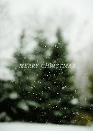 Merry Christmas Christmas Inspiration Christmas Spirit Snow