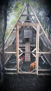 6 mistakes i made in the chicken coop and how you can avoid them attainable sustainable poulets de basse cour tracteur a poule poulailler