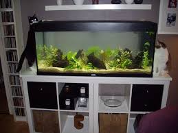 Image Result For Kallax As Fish Tank Stand Fish Tank Stand Tank Stand Aquarium