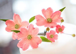 Check spelling or type a new query. 30 Sugar Flowers Ideas Sugar Flowers Flowers Wedding Cakes