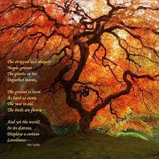 Read Me A Story November Fall Photography Nature Autumn Nature Nature Photography