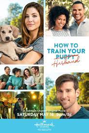 About How To Train Your Husband Hallmark Channel Hallmark Movies Romance Christmas Movies On Tv