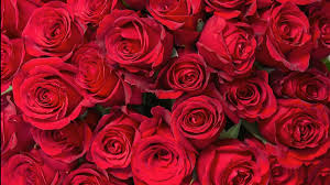 All i'm going to say about nutrition is that this has 13% alcohol. Send Your Valentine 50 Roses For Just 55