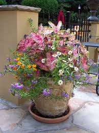 Pin By Geoffrey Zimmerly On Garden Happenings Garden Containers Container Flowers Container Gardening