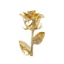 Maybe you would like to learn more about one of these? Sartor Hamann Signature All Gold Rose 24kt Yellow Gold Dipped Sartor Hamann Jewelers