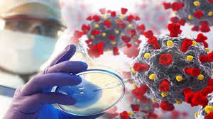 We did not find results for: Black Fungus Among Children Below 18 Years Here S The Details On Symptoms And Treatment