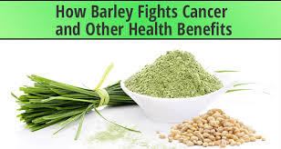This article discusses the health benefits of barley and how to add it to your diet. How Barley Fights Cancer And Other Health Benefits